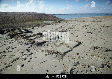 Evidence of the moorings for Mulberry Harbour Phoenix caissons which were built on the shore t the western end of Hayling Island Stock Photo