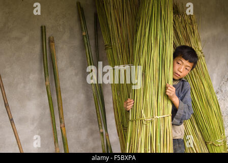 A boy carry bamboo in the way of Sapa to the nearby villages of Lao Chai and Ta Van. Vietnam. Stock Photo