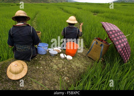 Some Hmong women eating next to a rice field in Sapa way to the nearby villages of Lao Chai and Ta Van. Vietnam. Stock Photo