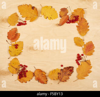 frame from autumn leaves collection and berry on wooden background Stock Photo