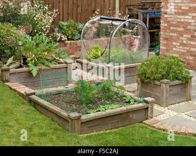 Small wooden raised beds for growing vegetables in domestic garden, UK Stock Photo