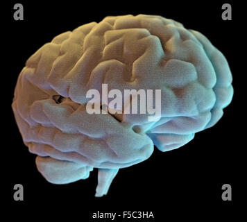 Illustration of human brain on black background Stock Photo