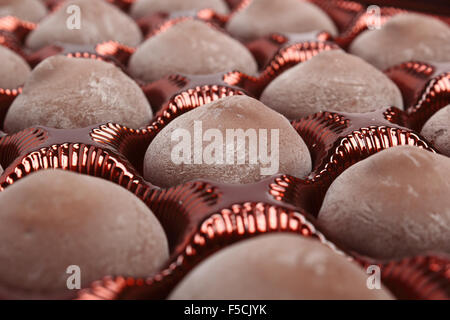 Hazelnut Praline - Truffle centre topped with a whole hazelnut dipped in milk chocolate Stock Photo