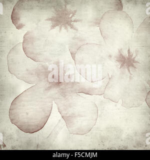 textured old paper background with watercolor almond blossoms Stock Photo