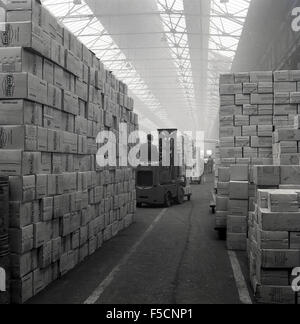 1950s historical, light from rooftop windows fill a large industrial warehouse, as a worker uses a small fork lift truck to move boxes. Stock Photo