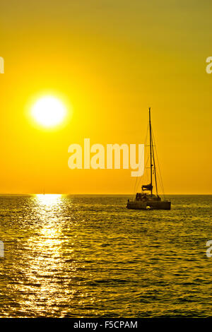 Catamaran sailboat on golden sunset on open sea Stock Photo - Alamy