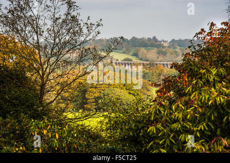 Autumn colour view towards the Ouse Valley viaduct from Borde Hill Garden photo ©Julia Claxton Stock Photo