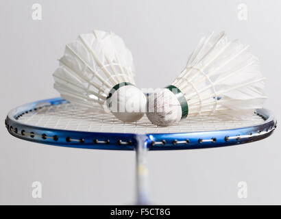 Pair of Shuttlecocks on Badminton Racket Stock Photo