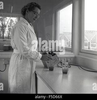 1950s historical, adult female scientist wearing white coat at work in a laboratory. Stock Photo