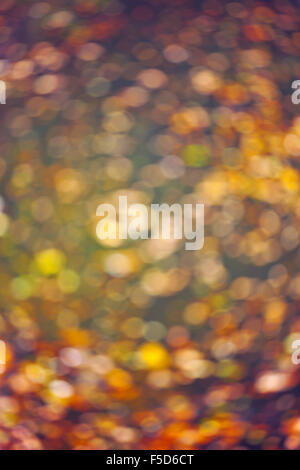 Abstract autumn colours. Stock Photo