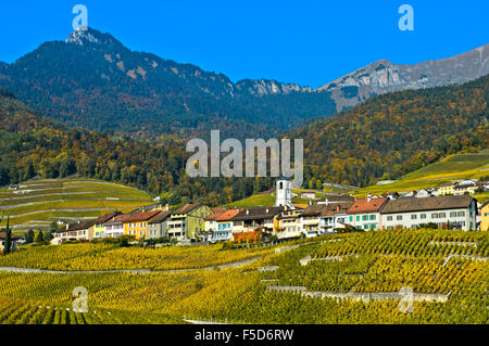 Yvorne village surrounded by vineyards in autumn, Yvorne, Canton of Vaud, Switzerland Stock Photo