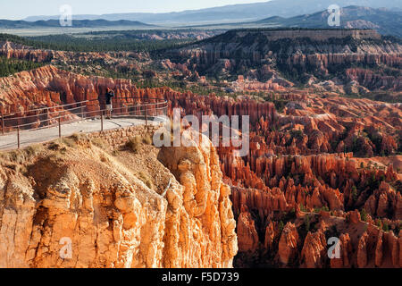 View of Bryce Point and Bryce Amphitheater with coloured rock formations, fairy chimneys, morning light Stock Photo