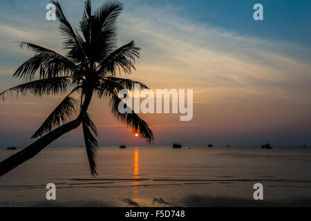 Palm tree by sea at sunset, South China Sea, Gulf of Thailand, Koh Tao, Thailand Stock Photo