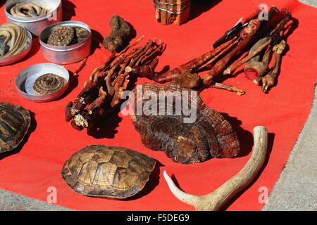 Turtle shell-ginseng-antler-dry snakes. Miscellaneous-curiosity selling stall. Market around Tashilhunpo-Heap of Glory monastery