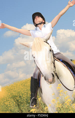 white horse on yellow flower Stock Photo