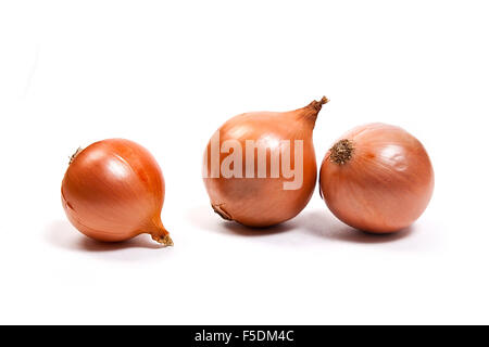 Fresh onions vegetables on white background. Arrangement of three ripe fresh onions isolated on white background. Stock Photo