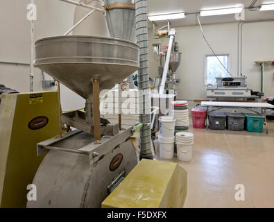 flBarley milling room,  Alaska Flour Company. Stock Photo