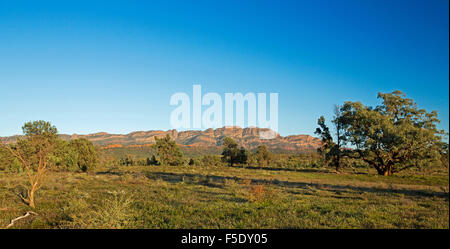 Panoramic outback landscape, red rugged Flinders Ranges peaks rising beyond plains tinged with green after rain, under blue sky in South Australia Stock Photo