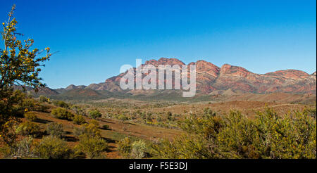 Spectacular panoramic landscape red rocky peaks & valley under blue sky in Flinders Ranges National Park, outback South Australia Stock Photo