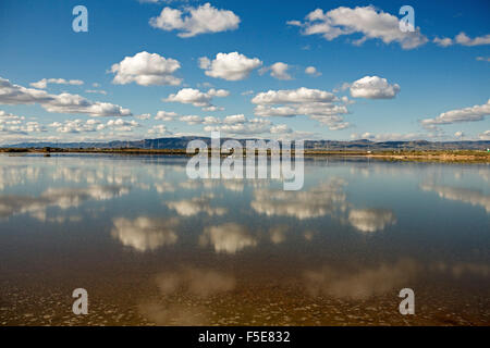 Upper Spencer Gulf with blue sky, clouds & adjacent ranges reflected in calm blue water of tidal ocean inlet at Port Augusta SA