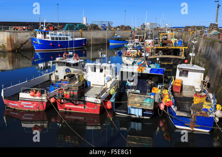 Colourful fishing boats in harbour on a sunny summer evening, Seahouses, Northumberland, England, United Kingdom, Europe Stock Photo