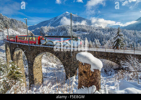 Bernina Express passes through the snowy woods around Filisur, Canton of Grisons (Graubunden), Switzerland, Europe Stock Photo