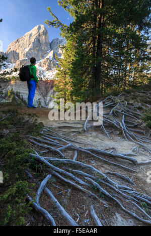 Hiker in the woods admires Sass De Putia, Passo delle Erbe, Puez Odle, South Tyrol, Dolomites, Italy, Europe Stock Photo