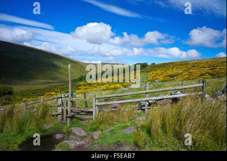 The footpath to Wistman's Wood on Dartmoor, Devon, England, United Kingdom, Europe Stock Photo