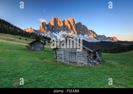 The group of Odle views from Gampen Malga at dawn, Funes Valley, Dolomites, South Tyrol, Italy, Europe Stock Photo