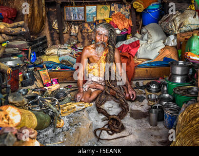 Shaiva sadhu (holy man) with traditional long hair living in Pashupatinath Temple Stock Photo