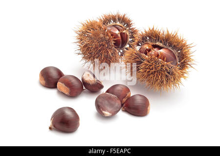 edible raw chestnuts on white Stock Photo
