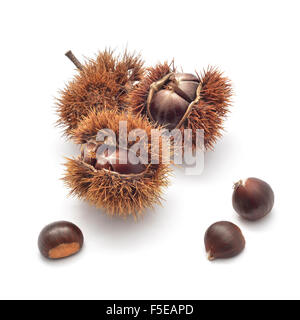 edible chestnuts on white Stock Photo