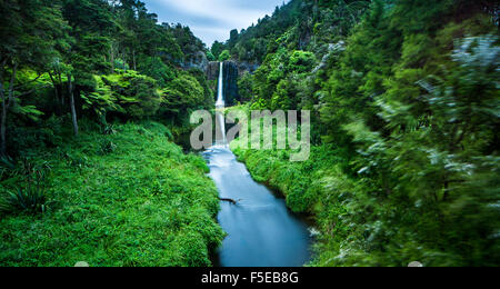 Hunua Falls, Hunua Ranges, Orere Point, North Island, New Zealand, Pacific Stock Photo