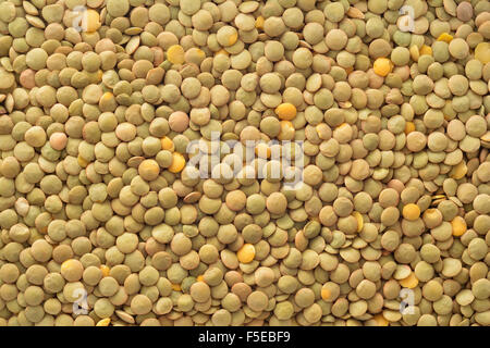 organic lentil closeup background texture Stock Photo