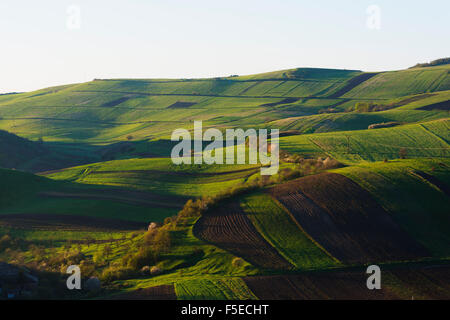 Rural scenery, Tavush province, Armenia, Caucasus, Central Asia, Asia Stock Photo