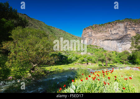 Symphony of Stones basalt columns, UNESCO World Heritage Site, Garni, Kotayk Province, Armenia, Caucasus, Central Asia, Asia Stock Photo