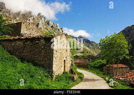 Old farmhouses near Sotres, Picos de Europa, Parque Nacional de los Picos de Europa, Asturias, Cantabria, Spain, Europe Stock Photo