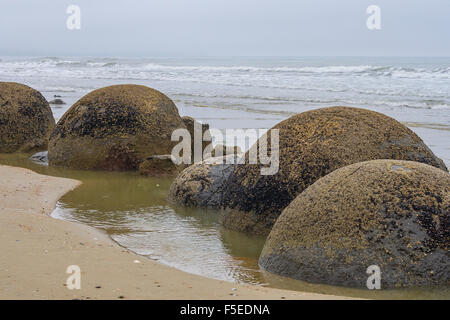Moeraki boulders in New Zealand Stock Photo