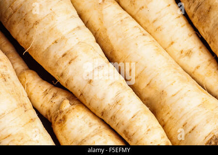 pile of Parsley root, close up and background Stock Photo