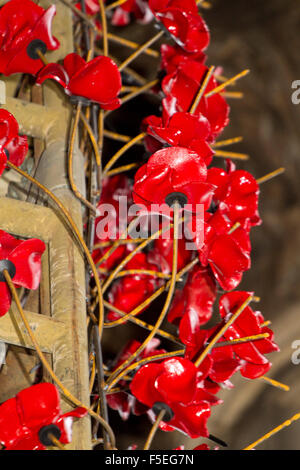 Liverpool, UK. 03rd Nov, 2015. Councillor Wendy Simon attends the press call at St Georges Hall, for the installation of the first ceramic poppy in commemoration of the fallen heroes of two world wars.  The poppies will be draped like a flowing river, meandering down the steps of St. Georges Hall.  The stunning display will be completed & unveiled for Remembrance Sunday on November 8th. Credit:  Cernan Elias/Alamy Live News Stock Photo