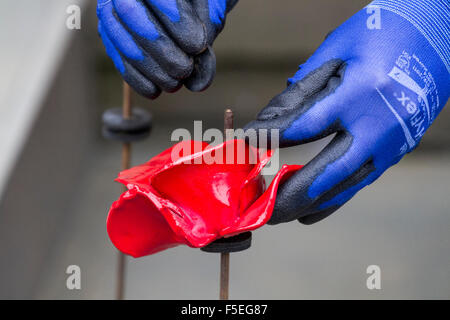 Liverpool, UK. 03rd Nov, 2015. Councillor Wendy Simon attends the press call at St Georges Hall, for the installation of the first ceramic poppy in commemoration of the fallen heroes of two world wars.  The poppies will be draped like a flowing river, meandering down the steps of St. Georges Hall.  The stunning display will be completed & unveiled for Remembrance Sundayon November 8th. Credit:  Cernan Elias/Alamy Live News Stock Photo