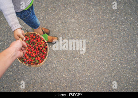 Father and son carrying bucket of rosehips Stock Photo