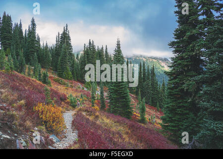 Boy standing on mountain path Stock Photo