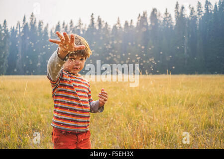 Boy throwing seeds in a field Stock Photo