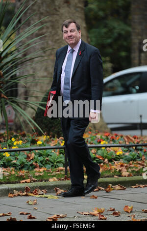 London, UK, 3rd Nov 2015: Secretary of State for Culture, Media and Sport John Whittingdale seen attending a cabinet meeting in Stock Photo