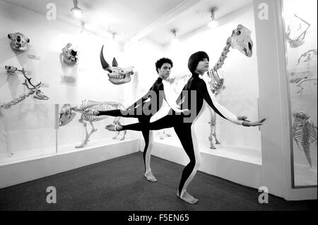 Antoinette Dayrit and Dane Hurst from the Rambert Dance Company take time out from their show at the Theatre Royal Brighton to perform amongst exhibits at the Booth Museum . The extract from the Comedy of Change commemorates Charles Darwin Year  Photograph taken February 2010 Stock Photo