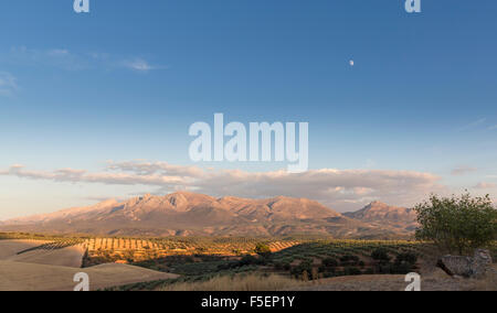 Landscape near Granada, Andalucia / Andalusia, Southern Spain, Europe in late afternoon light Stock Photo