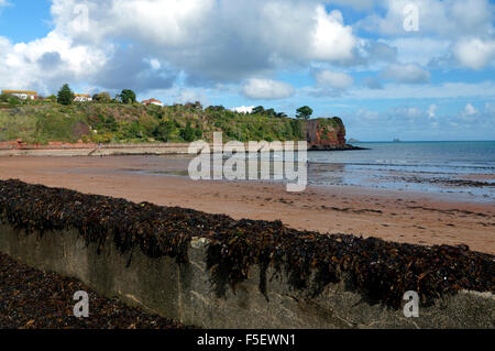 Sea wall coverd in seaweed, Goodrington Sands, Paignton, South Devon, England. Stock Photo