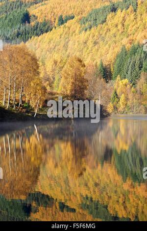 Autumn colours showing on the wooded banks of Loch Tummel Stock Photo