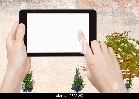 season concept - finger touches tablet pc with cut out screen and wall with ivy plant on background Stock Photo
